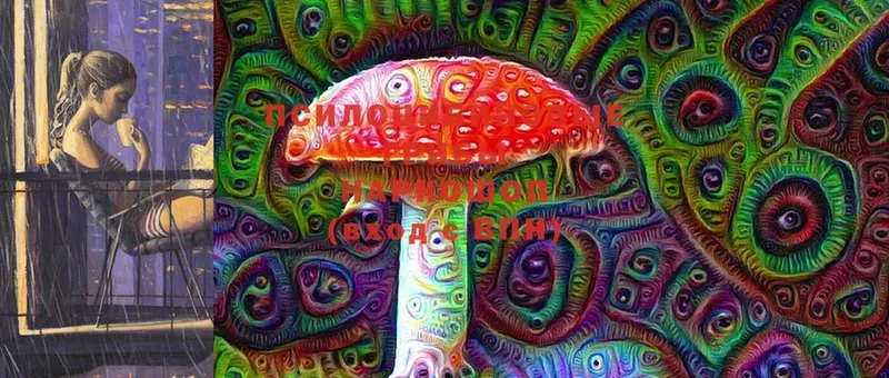 мега tor  Вязники  Псилоцибиновые грибы Cubensis  купить наркоту 